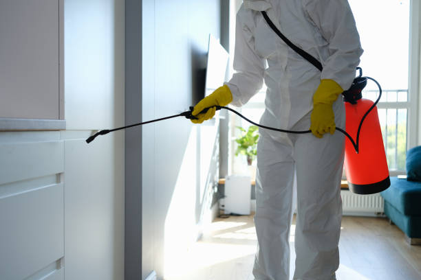 Best Residential Mold Removal  in Robinhood, MS